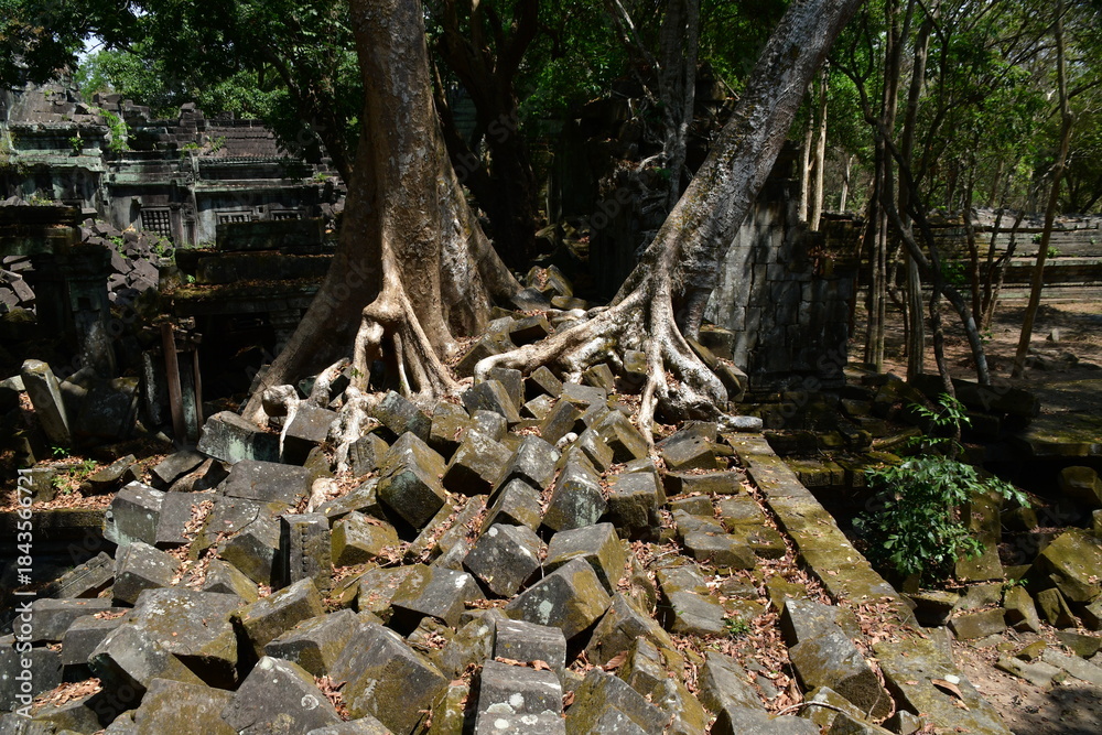 Fototapeta premium カンボジア シェムリアップ遺跡群 ベン・メリア