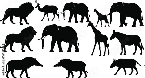 Flat vector, African wildlife silhouettes, lion elephant giraffe, zebra antelope warthog, safari animals, nature icons, wild creatures, black and white, animal profile, 