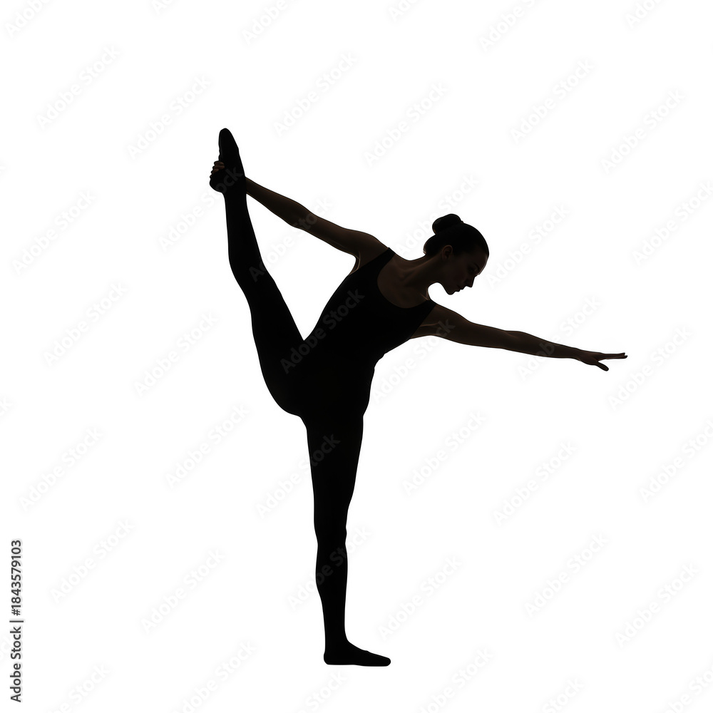 Fototapeta premium Silhouette of a dancer in a graceful pose ballet