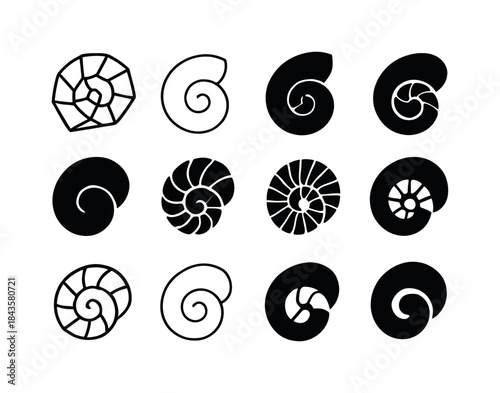 Seashell Icon Collection. seashells. Icon set. Set Logo of seash