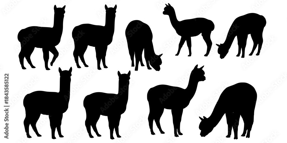 Obraz premium Adorable alpaca silhouettes collection farm animals.