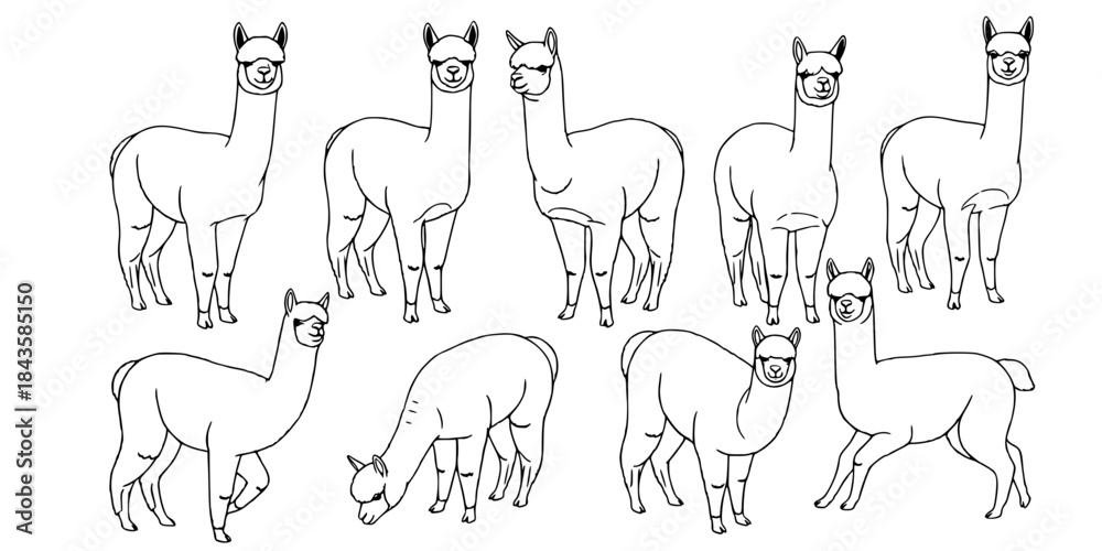 Obraz premium Adorable alpaca silhouettes collection farm animals.