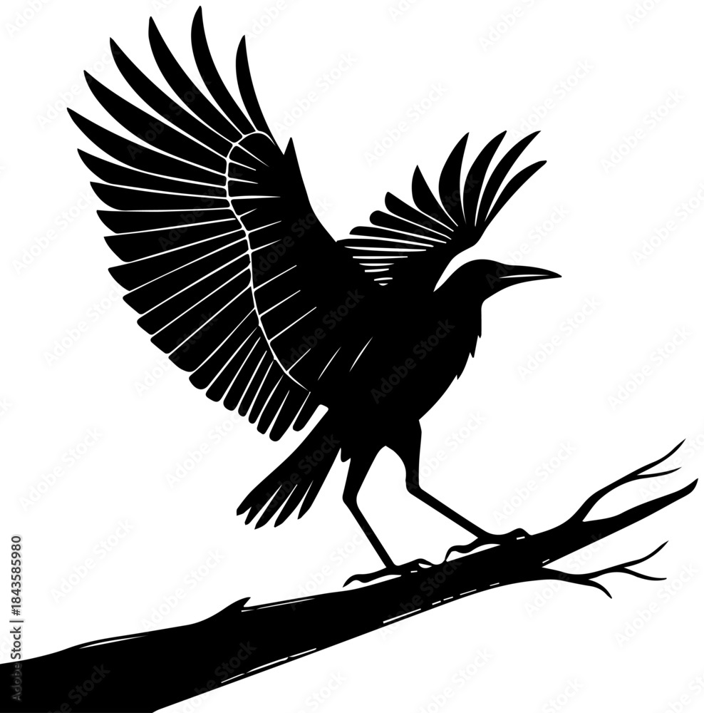 Fototapeta premium Crow with Wings Raised – Black Silhouette Vector