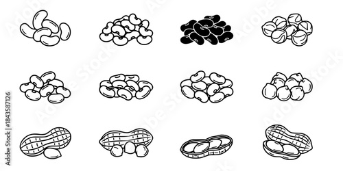 Various types of beans and peanuts icon set. 