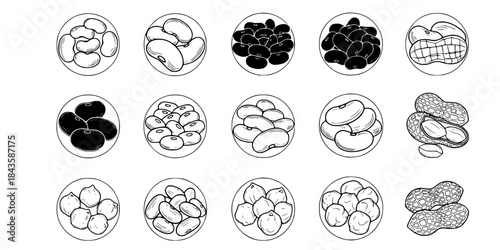 Various types of beans and peanuts icon set. 