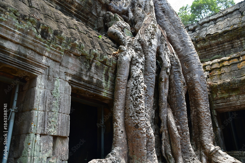 Naklejka premium カンボジア シェムリアップ遺跡群 タ・プローム