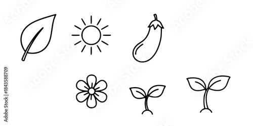 Green leaf sun eggplant flower sprout icons vector
