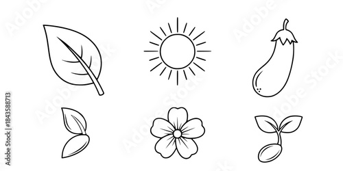 Green leaf sun eggplant flower sprout icons vector
