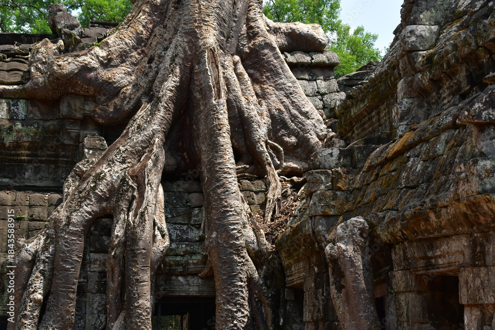 Naklejka premium カンボジア シェムリアップ遺跡群 タ・プローム