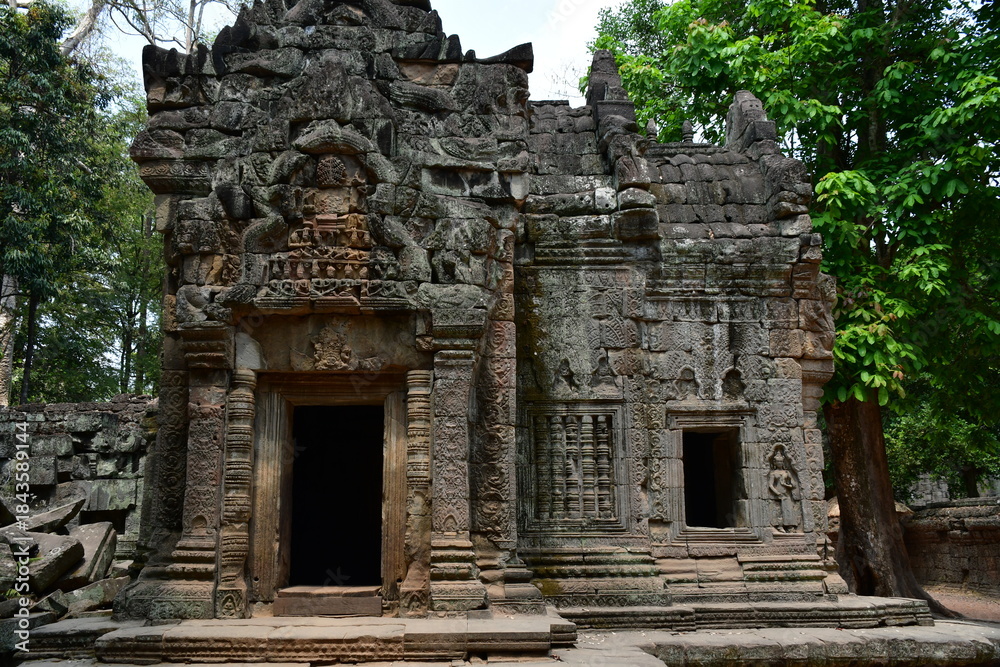 Fototapeta premium カンボジア シェムリアップ遺跡群 タ・プローム 