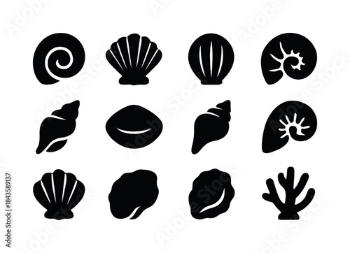 Shell Pattern Icons. Shell patterns. Solid icon set of shell pat