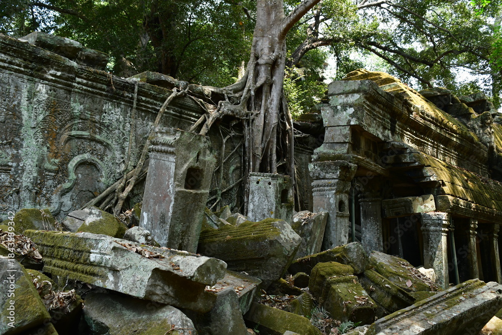 Obraz premium カンボジア シェムリアップ遺跡群 タ・プローム 