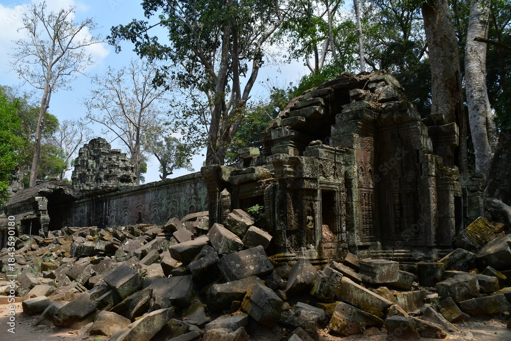 Fototapeta premium カンボジア シェムリアップ遺跡群 タ・プローム 