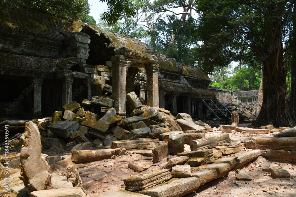 Naklejka premium カンボジア シェムリアップ遺跡群 タ・プローム 