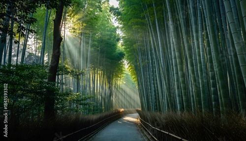 Zen Serenity: Arashiyama Bamboo Grove