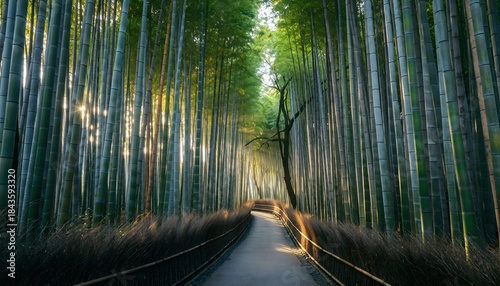 Zen Serenity: Arashiyama Bamboo Grove