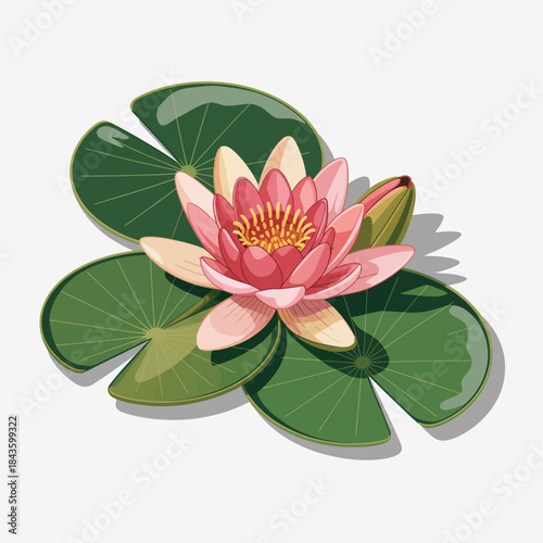 This stunning illustration features a pink water lily blooming on large green leaves, showcasing nature's beauty and tranquility in a graceful setting.