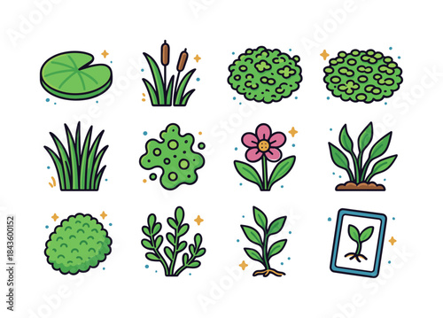 Colorful Aquatic Icons. Aquatic Plants. Colorful isometric vecto