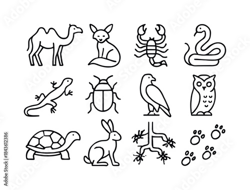 Desert Wildlife Icons. Desert wildlife. Line icon set of Desert