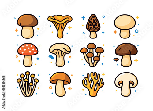 Vibrant Mushroom Icons. Wild mushrooms. Colorful isometric vecto