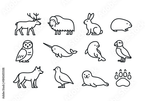Arctic Wildlife Icons. Arctic wildlife. Line icon set of arctic