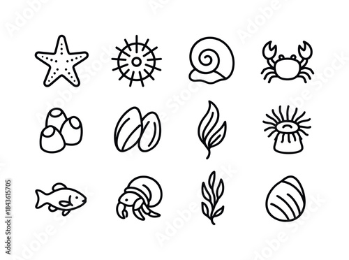 Marine Life Icons. Marine life near the shore. Line icon set of