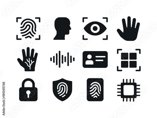 Biometric Security Icons. Biometric Identification. Solid icon s