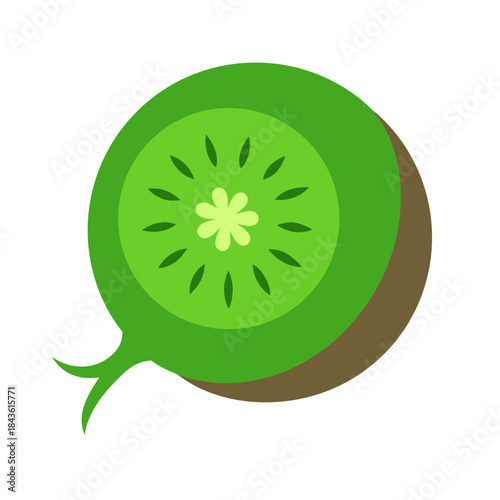vector clip art kiwi on white background for web and graphic design