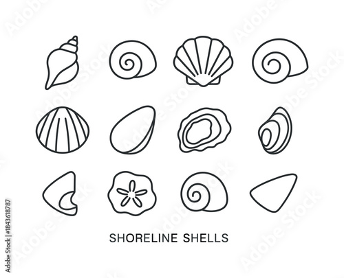 Shoreline Shell Icons. Shoreline shells. Line icon set of shorel