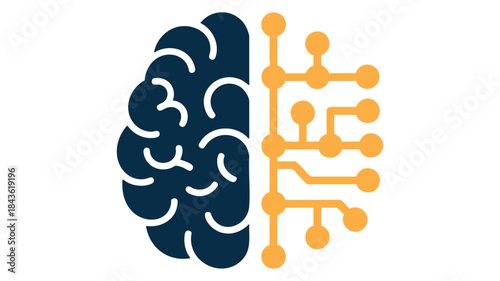 Human brain and neural network