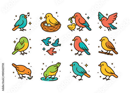 Colorful Bird Icons. Bird Behavior. Colorful isometric vector ic