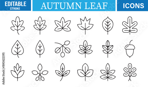 Clean line-style fall leaf icons for decorative and botanical projects