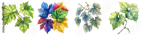 Vivid watercolor grape leaves showcase vibrant colors and intricate details, capturing essence of nature beauty and diversity