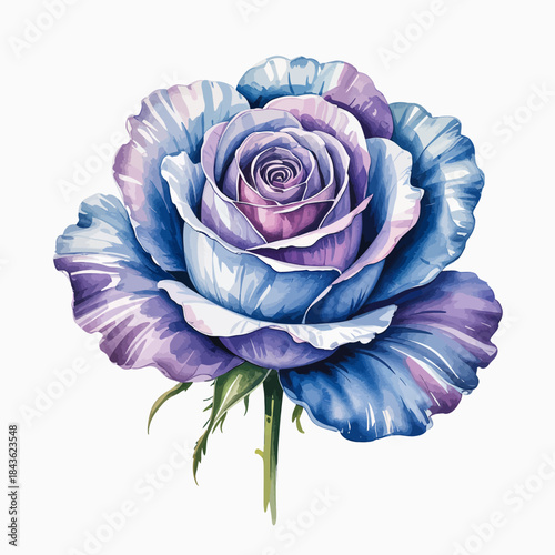 An exquisite and colorful illustration of a purple and blue rose with detailed petals, showcasing nature's beauty and vibrant artistry.