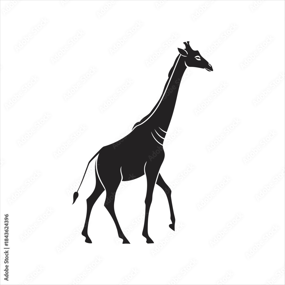 Fototapeta premium Elegant Giraffe Silhouette Walking Illustration