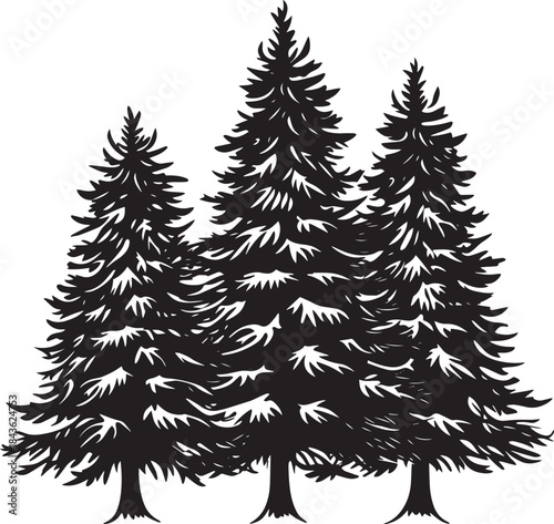 Three pine trees with snow on them, set against a white background.