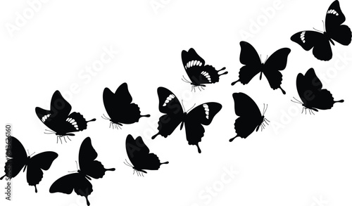 Collection of black butterfly silhouettes in flight on white background butterflies