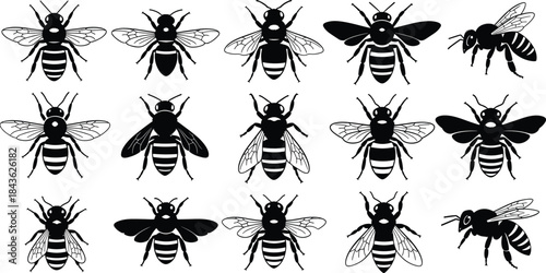 Collection of black and white bee illustrations in various poses and styles insect