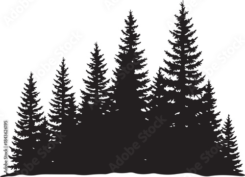 Silhouette of tall evergreen trees on a white background tree silhouette black and white