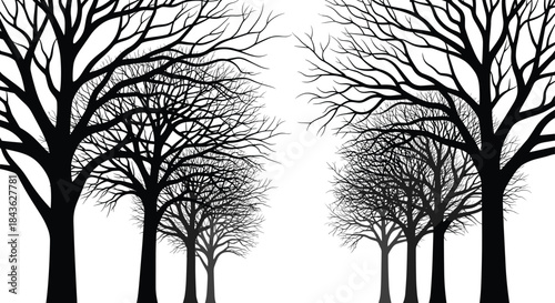 Leafless tree corridor, symmetrical forest path, black silhouette illustration, natural perspective design, winter landscape vector, branching pattern artwork
