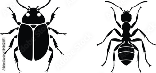 Beetle and ant black silhouette illustration showing insect anatomy shapes for entomology, pest identification, and nature symbol vector design