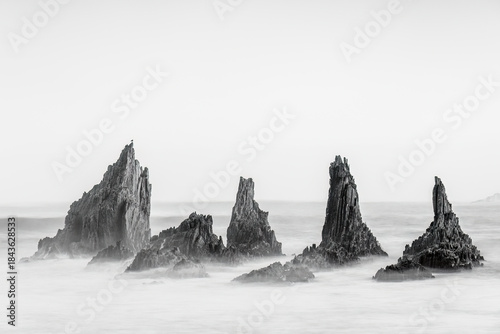 Photograph of the iconic rock formations of Gueirua Beach in Asturias, with a seagull perched on one of the sharp sea stacks. A timeless coastal scene highlighting texture, contrast, and solitude.