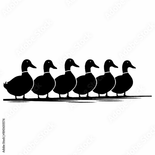 Six Black Ducks Standing in a Row on a Thin Line.