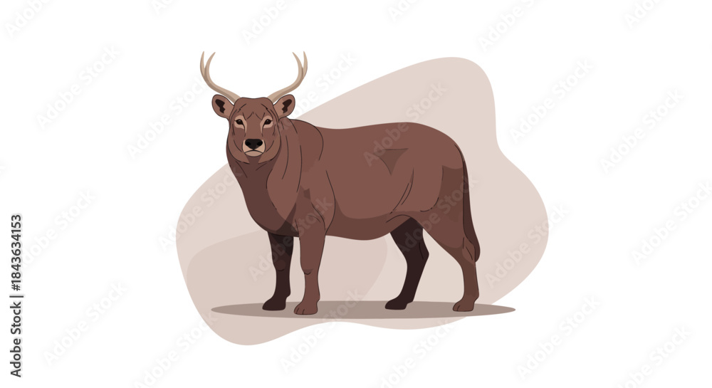 Fototapeta premium Brown ox standing on a white background