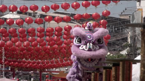 Chinese lion dance performing, Slow motion.