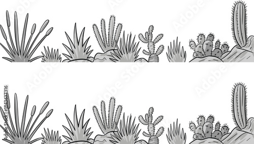 Minimalist, black and white botanical line art illustration featuring desert plants cactus succulents hand drawn nature background wall decor poster