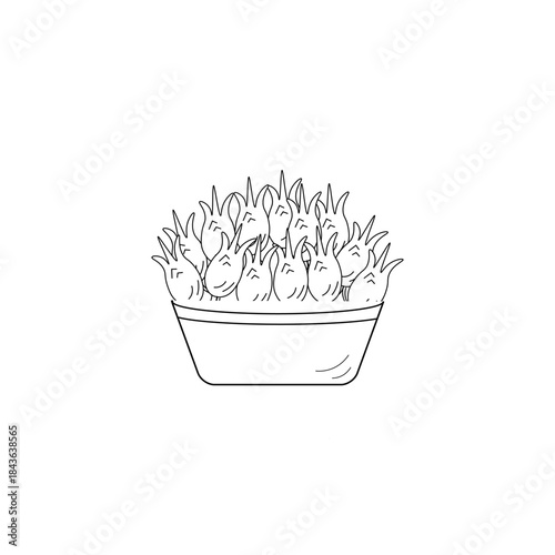 Simple Icon of Onion in the basket