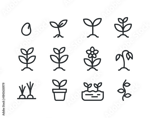 Plant Growth Icons. Plant growth stages. Line icon set of Plant