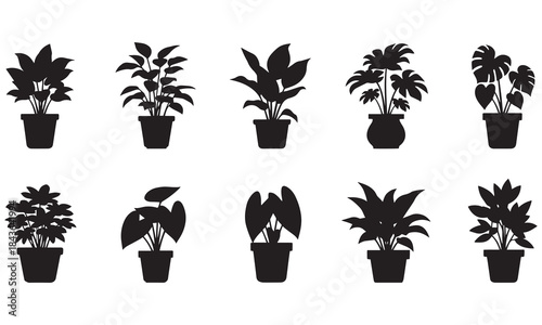 Collection of ten different potted houseplant silhouettes in black