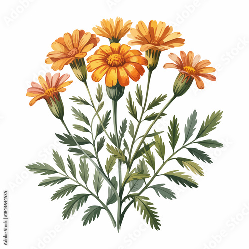 This beautiful image captures a bunch of vibrant marigold flowers, showcasing their rich colors and intricate petals, symbolizing joy and creativity in nature.